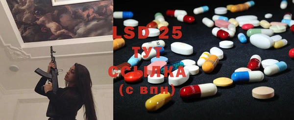 ECSTASY Богданович