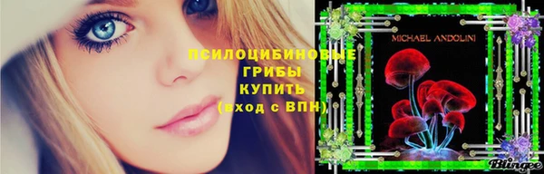 дмт Богородицк