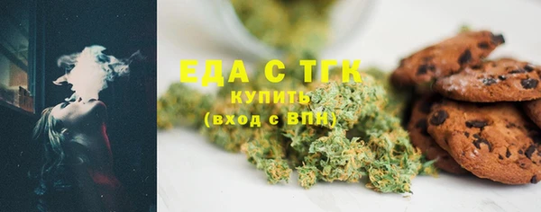 ECSTASY Богданович