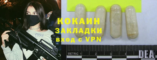 дмт Богородицк