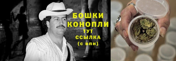 дмт Богородицк