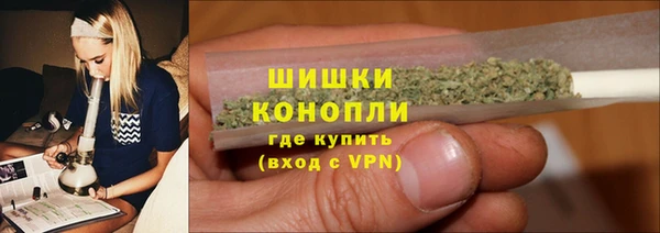 дмт Богородицк