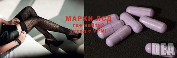 сатива Богородск