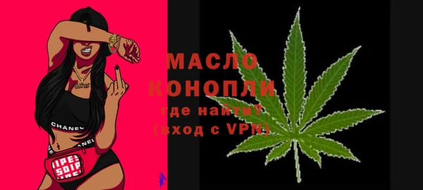 дмт Богородицк
