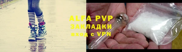 ECSTASY Богданович