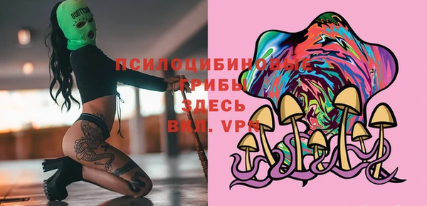 ECSTASY Богданович