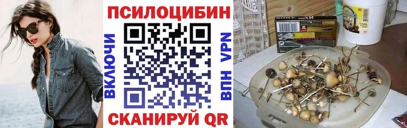 Псилоцибиновые грибы прущие грибы  наркотики  MEGA ссылка  Няндома 