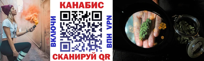 Бошки Шишки планчик  Няндома 